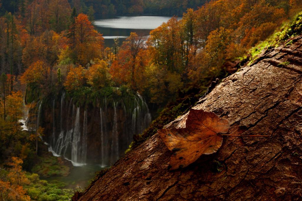 Guesthouse Villa Plitvicka Plitvička Jezera 部屋 写真