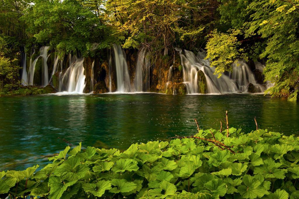 Guesthouse Villa Plitvicka Plitvička Jezera 部屋 写真